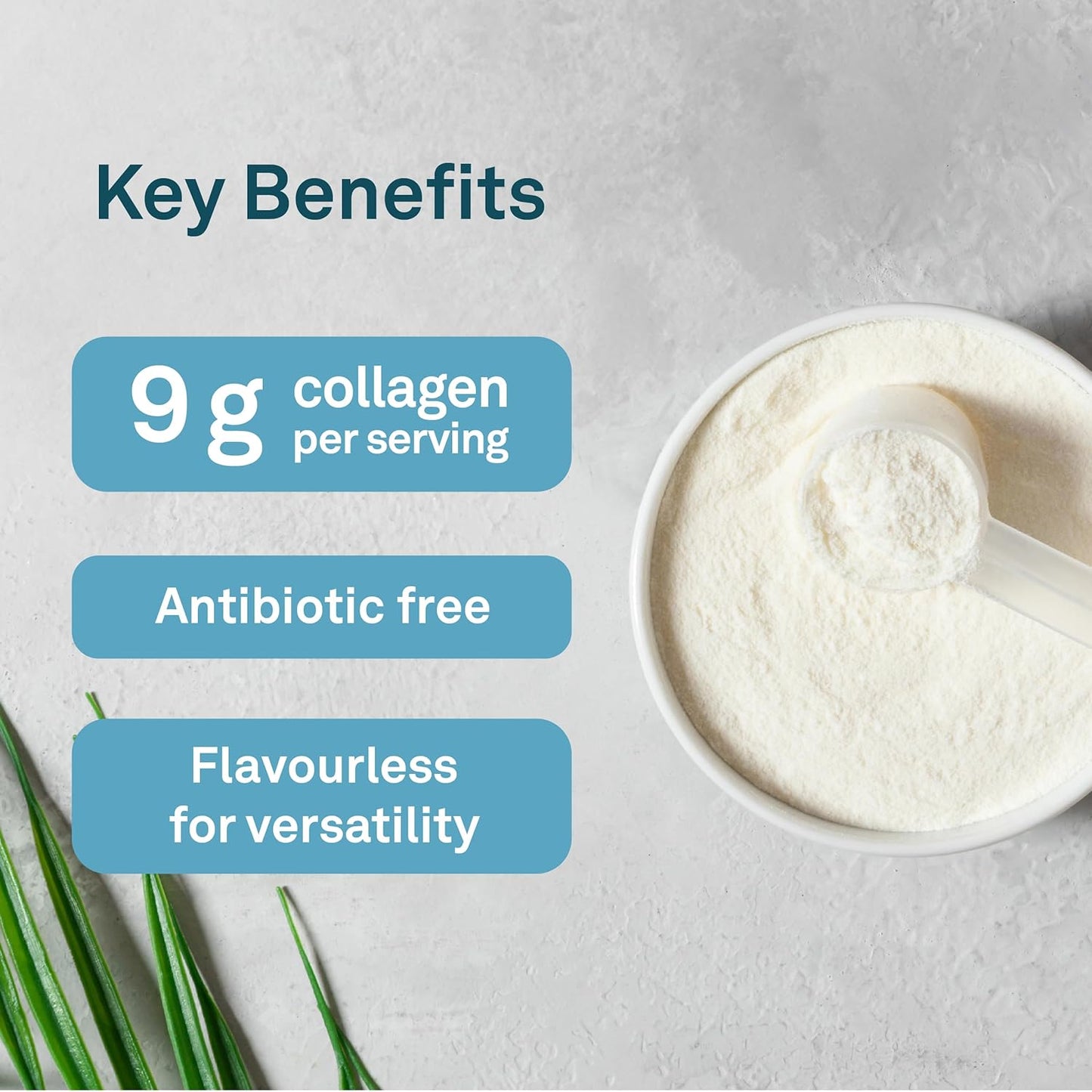 Organika Canadian-Made Enhanced Collagen Powder
