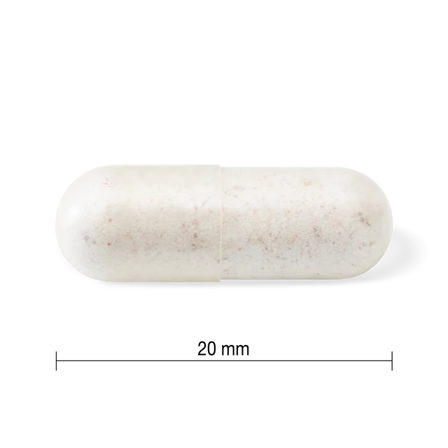Jamieson 10 Billion Daily Maintenance Probiotic