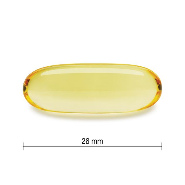 SALMON & FISH OIL