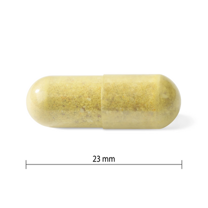 Progressive Nutritional Multivitamin for Active Men – 100% Complete Daily Support