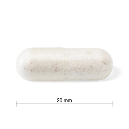 Jamieson 10 Billion Daily Maintenance Probiotic